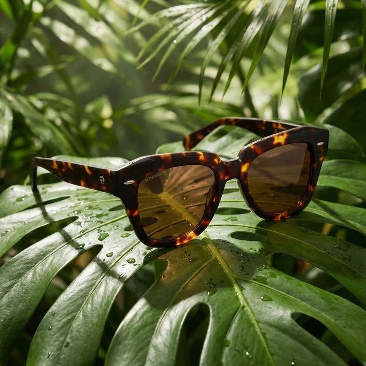 Selkie Vintage lentes de sol mujer premium tono carey clásico vista frontal #editorial_grid2 #color_carey