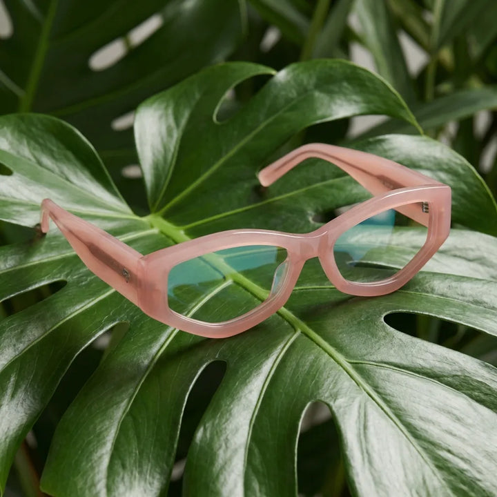 Lentes ópticos Artemisa Rosado entre hojas botánicas naturales diseño sustentable Bonoboss #editorial_sustentabilidad #color_rosado