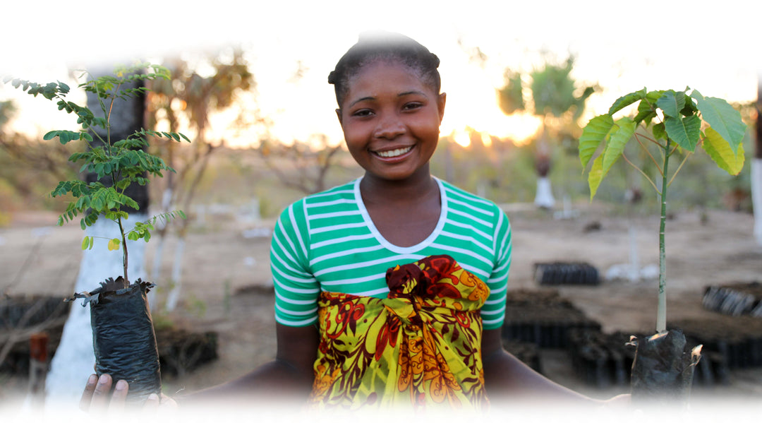 Queremos Plantar Más De 1.000.000 de Árboles