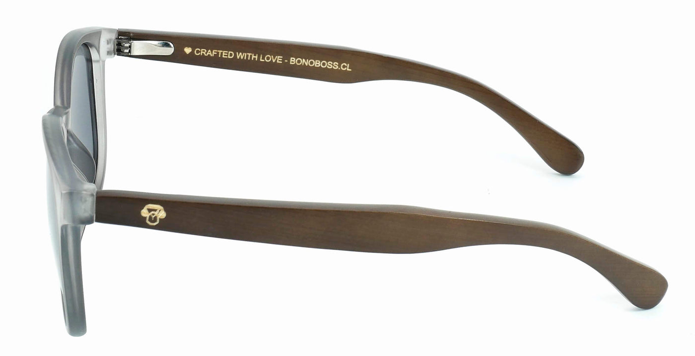 anteojos redondos de plástico reciclado y varillas de madera natural sustentable con lentes de color negro. Polarizadas y forma redonda. La gafa es color transparente