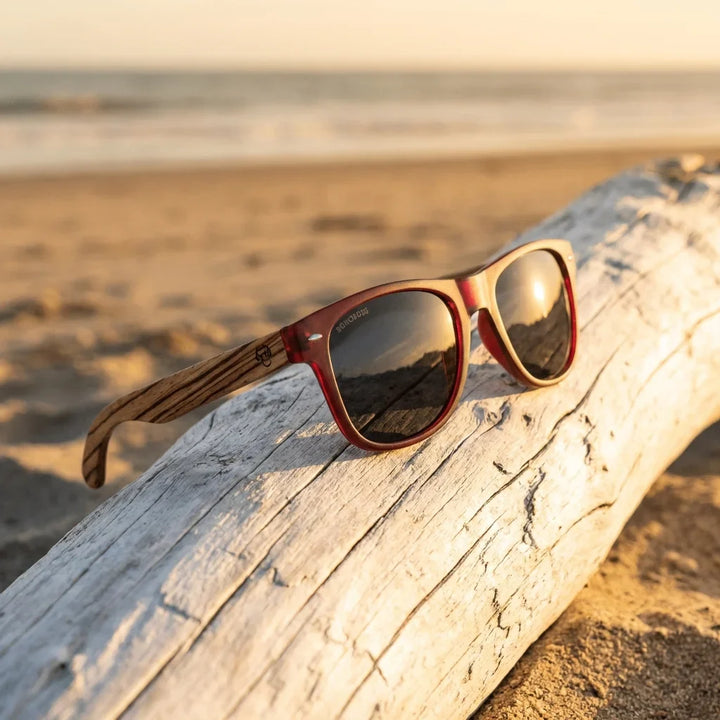 Lentes sol Acacia polarizados UV400 madera zebrano Wine Smoke sobre driftwood dorado reflejo lente costero Bonoboss #editorial_banner #color_wine-smoke