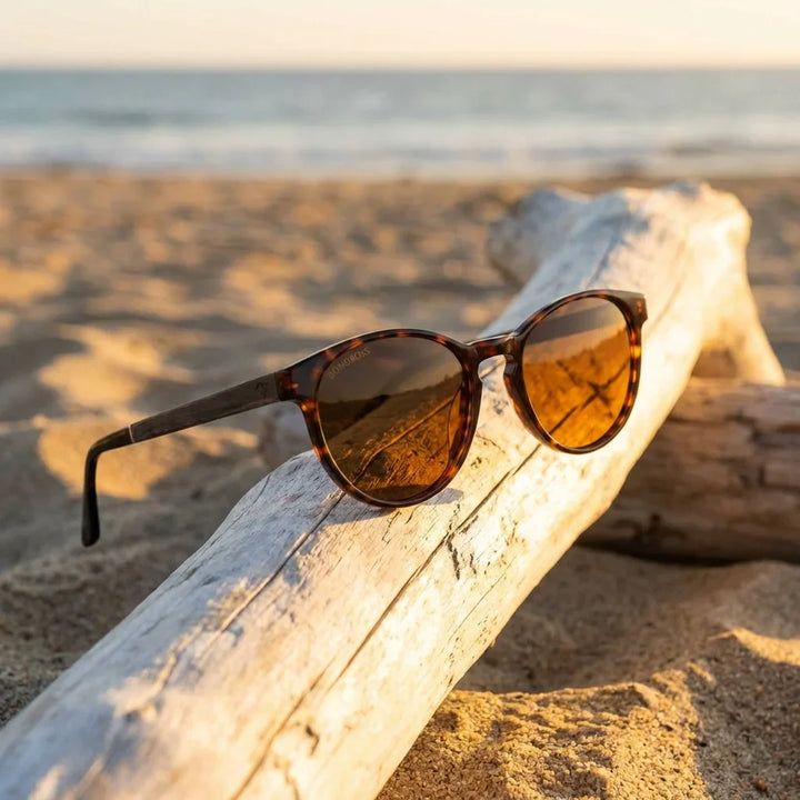 Lentes sol Chiloé 220 polarizados UV400 sobre madera driftwood luz dorada Bonoboss #color_carey