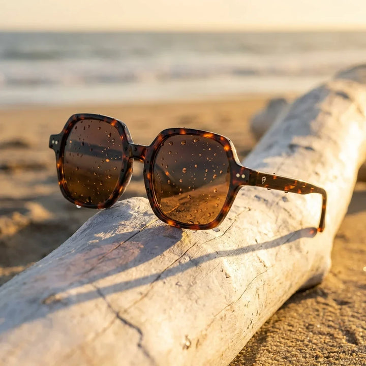 Lentes sol Canarias polarizados UV400 sobre madera driftwood luz dorada Bonoboss #color_carey