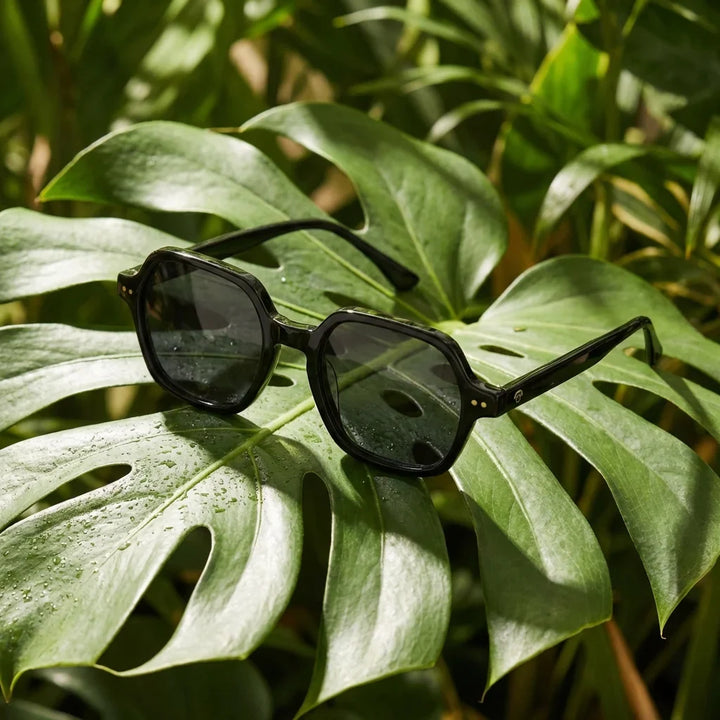 Lentes sol Canarias polarizados UV400 bio-acetato Negro composicion botanica monstera tropical natural Bonoboss #editorial_grid2 #color_negro