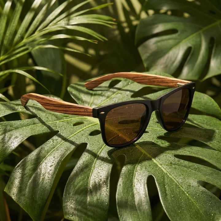 Lentes sol Acacia polarizados UV400 madera zebrano Negro Brown composicion botanica monstera tropical natural Bonoboss #editorial_grid2 #color_negro-brown