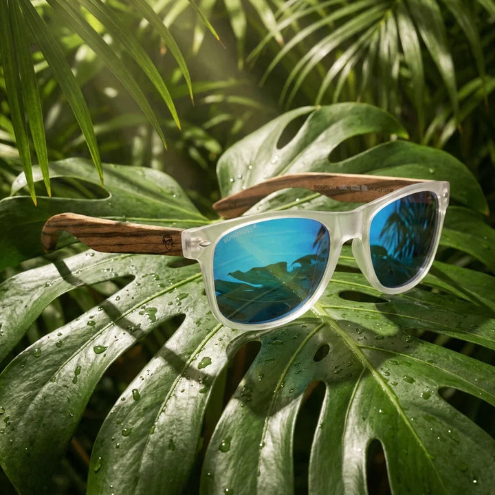 Lentes sol Acacia polarizados UV400 madera zebrano Transparente Espejado Azul composicion botanica monstera tropical natural Bonoboss #editorial_grid2 #color_transparente-espejado-azul