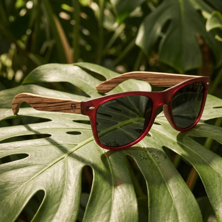 Lentes sol Acacia polarizados UV400 madera zebrano Wine Smoke composicion botanica monstera tropical natural Bonoboss #editorial_grid2 #color_wine-smoke