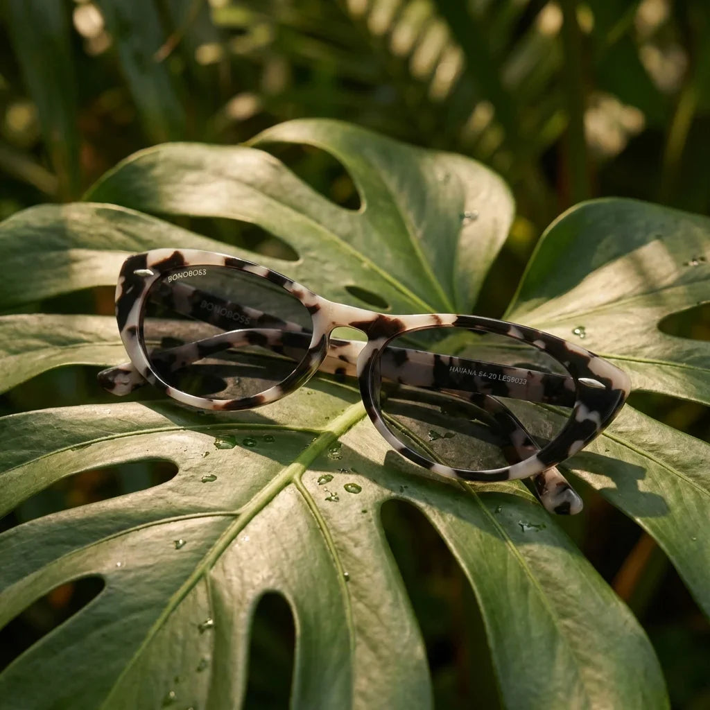 Lentes sol Havana polarizados bio-acetato marble composicion botanica monstera tropical biodegradable Bonoboss #editorial_grid2 #color_marble