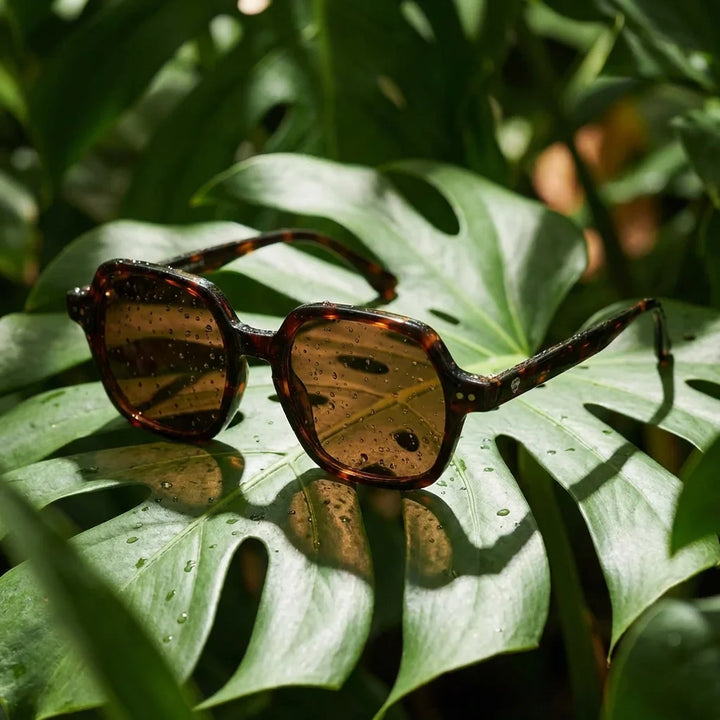 Lentes sol Canarias polarizados UV400 bio-acetato Carey composicion botanica monstera tropical natural Bonoboss #editorial_grid2 #color_carey