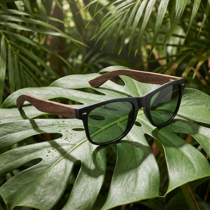 Lentes sol Acacia Nogal polarizados G15 composicion botanica hoja monstera tropical Bonoboss #editorial_grid2 #color_g15