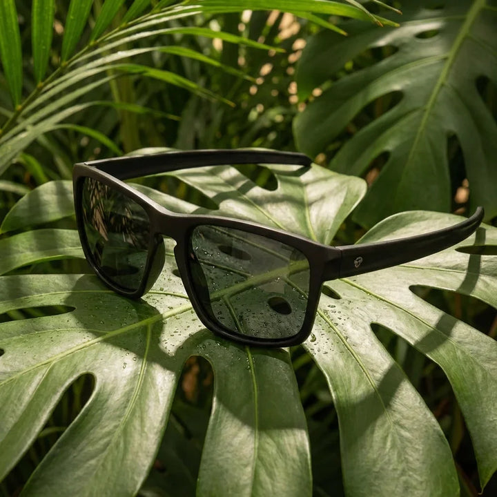 Lentes sol Lautaro RPET polarizados RPET reciclado negro composicion botanica hoja monstera tropical Bonoboss #editorial_grid2 #color_negro