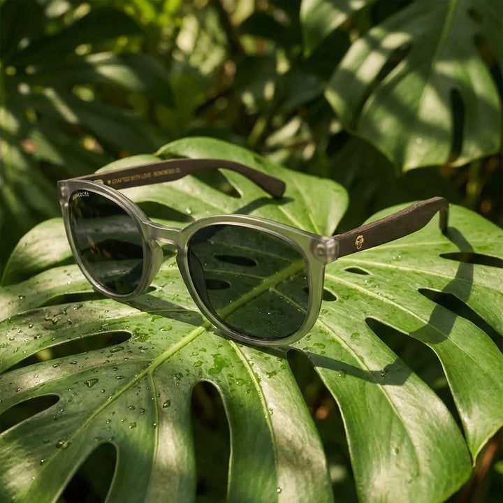 Lentes sol Meli TSP polarizados bio-acetato TSP biodegradable negro sobre hoja monstera botanica tropical Bonoboss #editorial_grid2 #color_negro