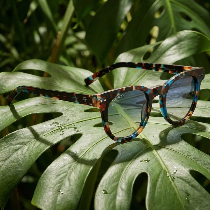 Lentes sol Meli polarizados bio-acetato azul marble composicion botanica monstera tropical biodegradable Bonoboss #editorial_grid2 #color_azul-marble