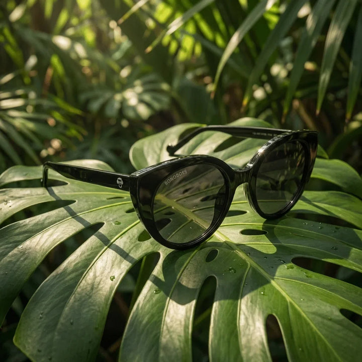 Lentes sol Hannover polarizados bio-acetato negro composicion botanica monstera tropical biodegradable Bonoboss #editorial_grid2 #color_negro
