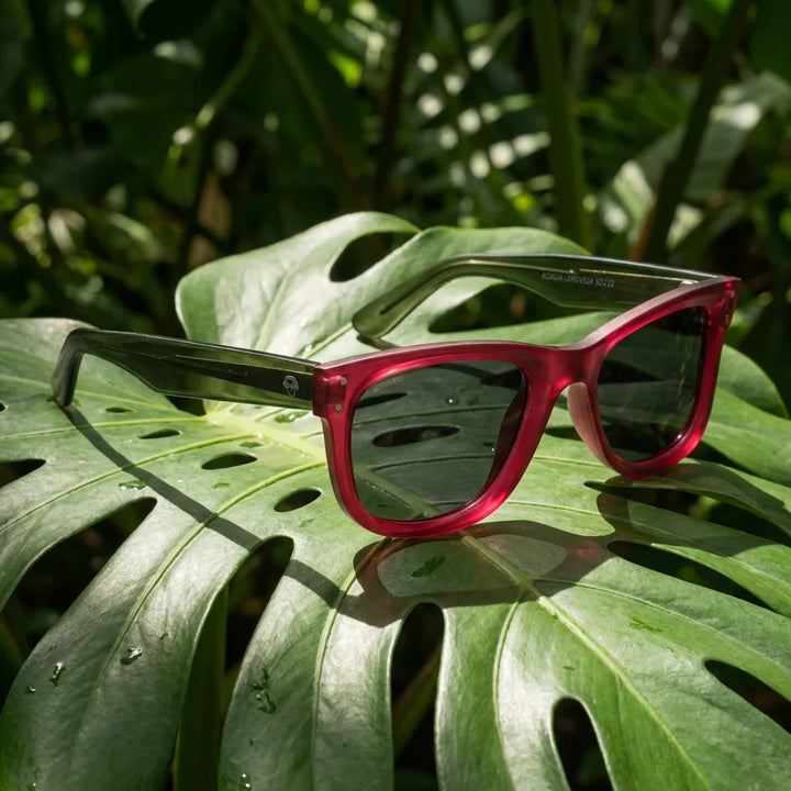 Lentes sol Acacia Reverse polarizados UV400 madera zebrano Rosado composicion botanica monstera tropical natural Bonoboss #editorial_grid2 #color_rosado