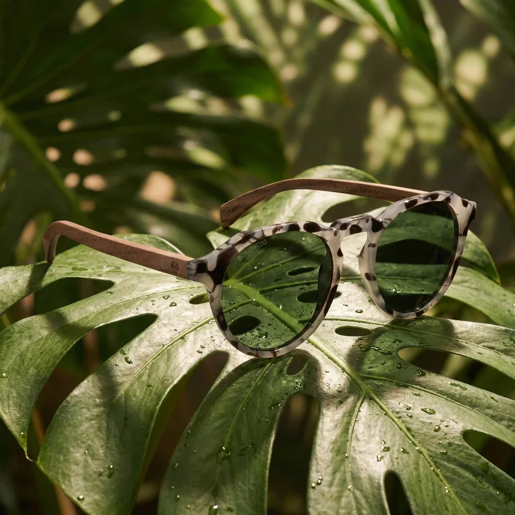 Lentes sol Galapagos polarizados acetato madera gris composicion botanica hoja monstera tropical Bonoboss #editorial_grid2 #color_gris