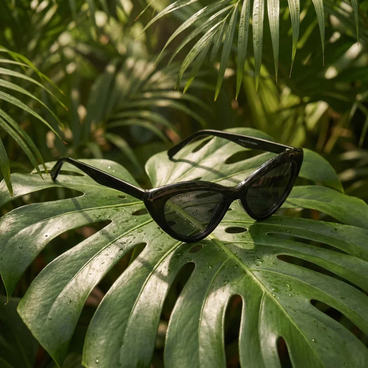 Lentes sol Femme Black polarizados UV400 bio-acetato Negro composicion botanica monstera tropical natural Bonoboss #editorial_grid2 #color_negro
