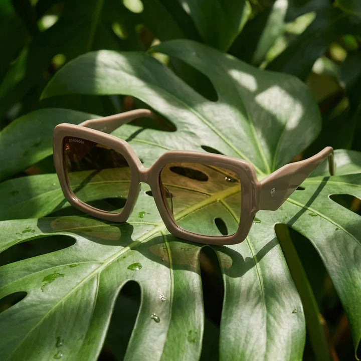 Lentes sol Alaska polarizados brown composicion botanica hoja monstera tropical Bonoboss #editorial_grid2 #color_brown