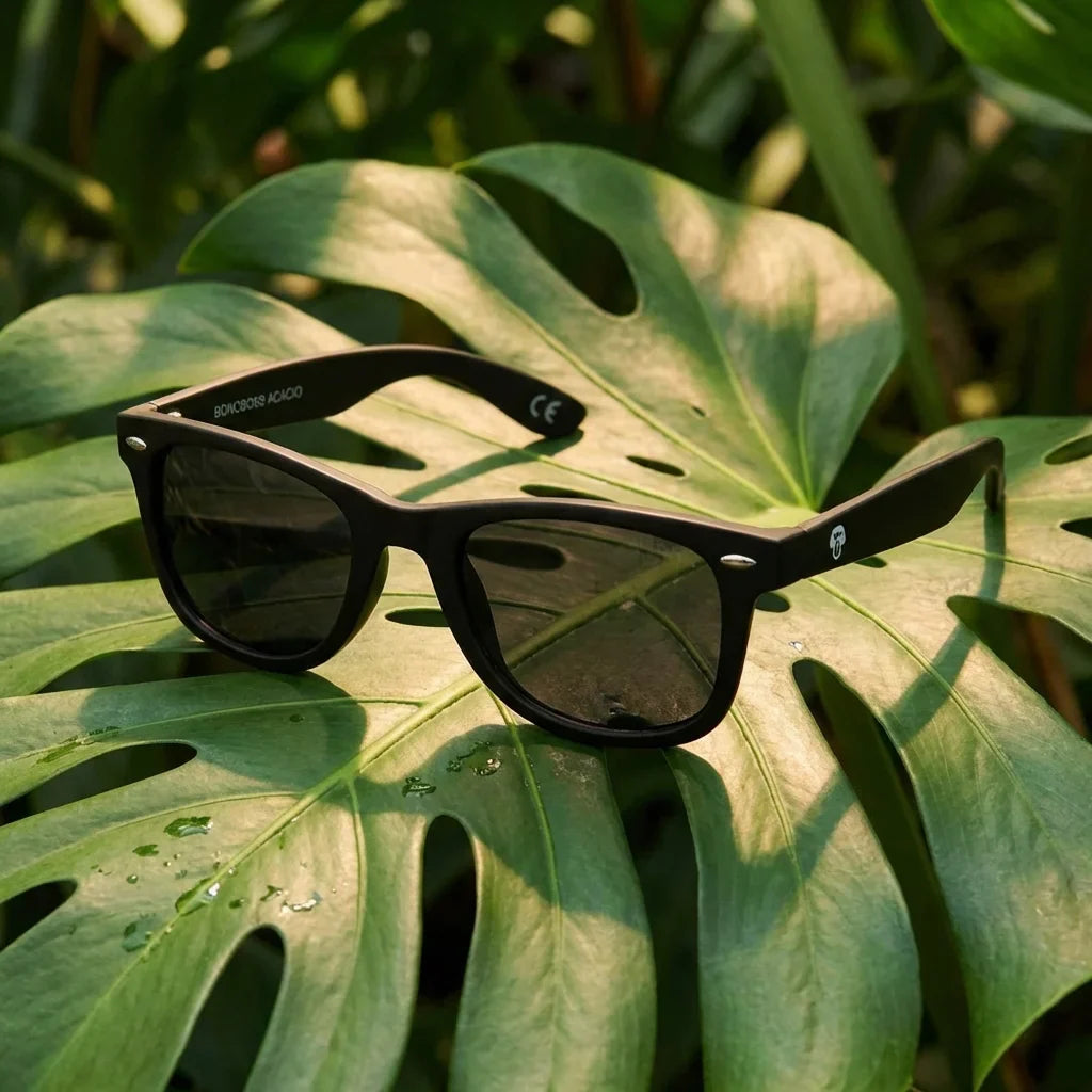 Lentes sol Acacio rPET polarizados RPET reciclado negro composicion botanica hoja monstera tropical Bonoboss #editorial_grid2 #color_negro