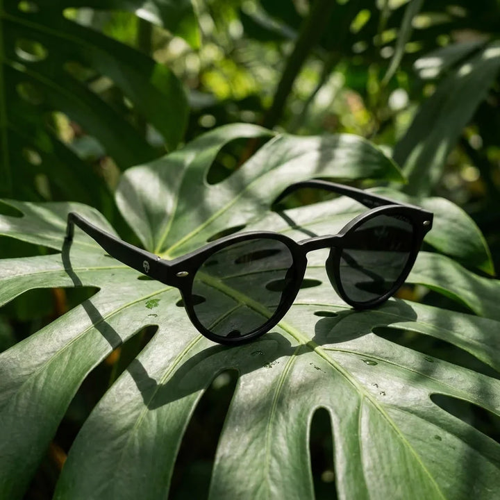 Lentes sol Joplin RPET polarizados RPET reciclado del oceano negro composicion botanica monstera tropical biodegradable Bonoboss #editorial_grid2 #color_negro