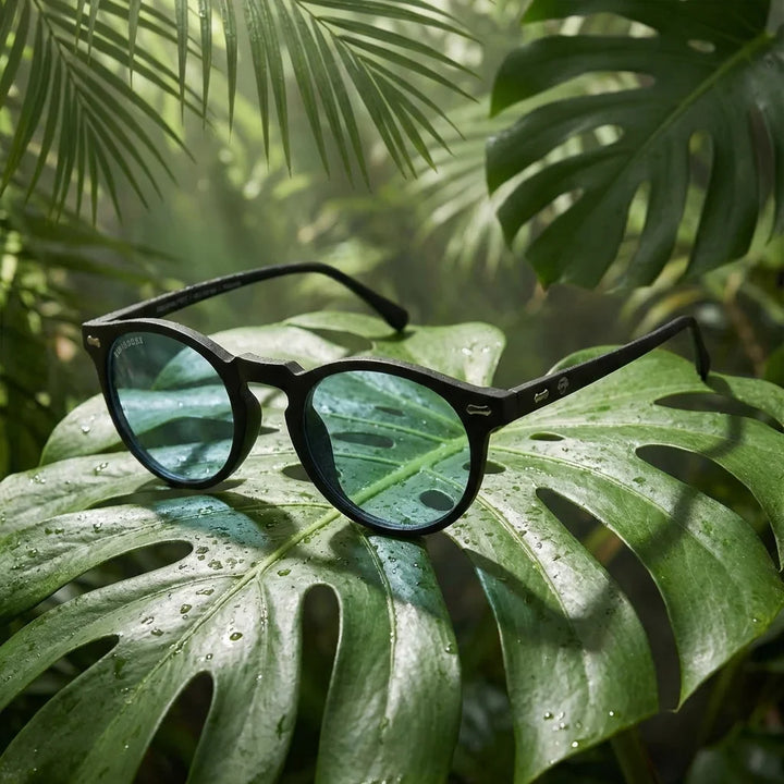 Lentes sol Temuco RPET polarizados UV400 composicion botanica monstera tropical natural Bonoboss #editorial_grid2 #color_negro