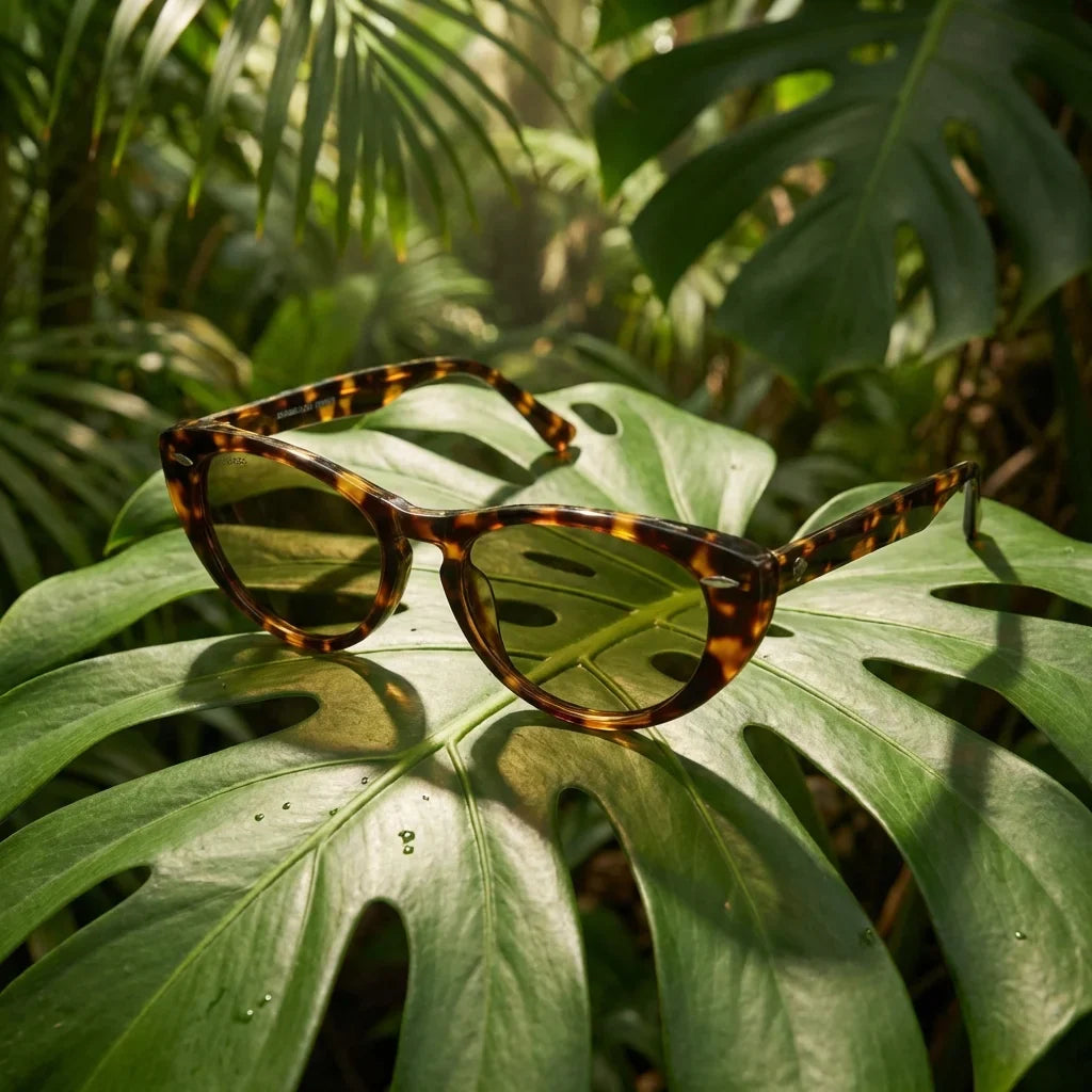 Lentes sol Havana polarizados bio-acetato carey composicion botanica monstera tropical biodegradable Bonoboss #editorial_grid2 #color_carey