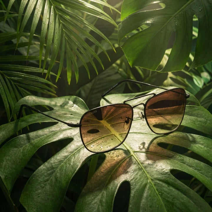 Lentes sol Commander Reverse polarizados metal gun composicion botanica hoja monstera tropical Bonoboss #editorial_grid2 #color_gun