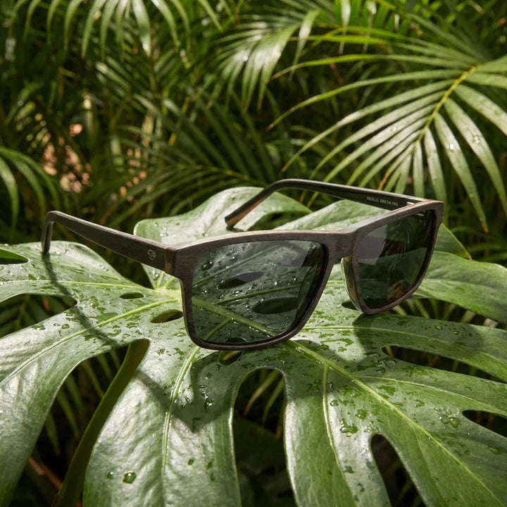 Lentes sol Keule polarizados madera cacao composicion botanica monstera tropical biodegradable Bonoboss #editorial_grid2 #color_cacao
