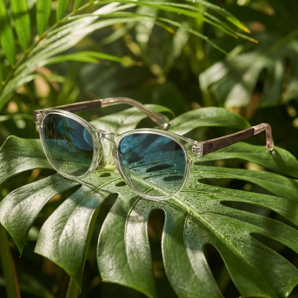 Lentes sol Chiloe 220 Black polarizados degrade azul composicion botanica hoja monstera tropical Bonoboss #editorial_grid2 #color_degrade-azul