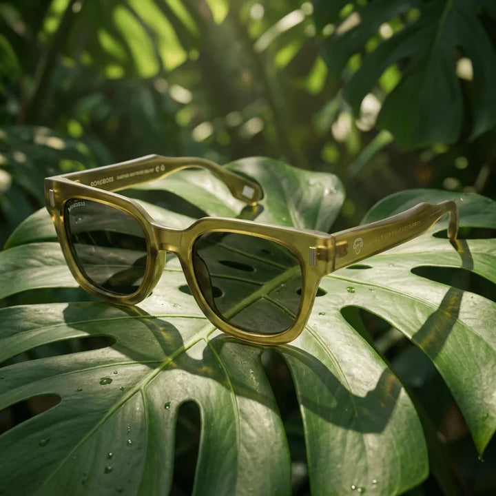Lentes sol Osorno RPET polarizados reciclado olive composicion botanica monstera tropical tonos tierra Bonoboss #editorial_grid2 #color_olive