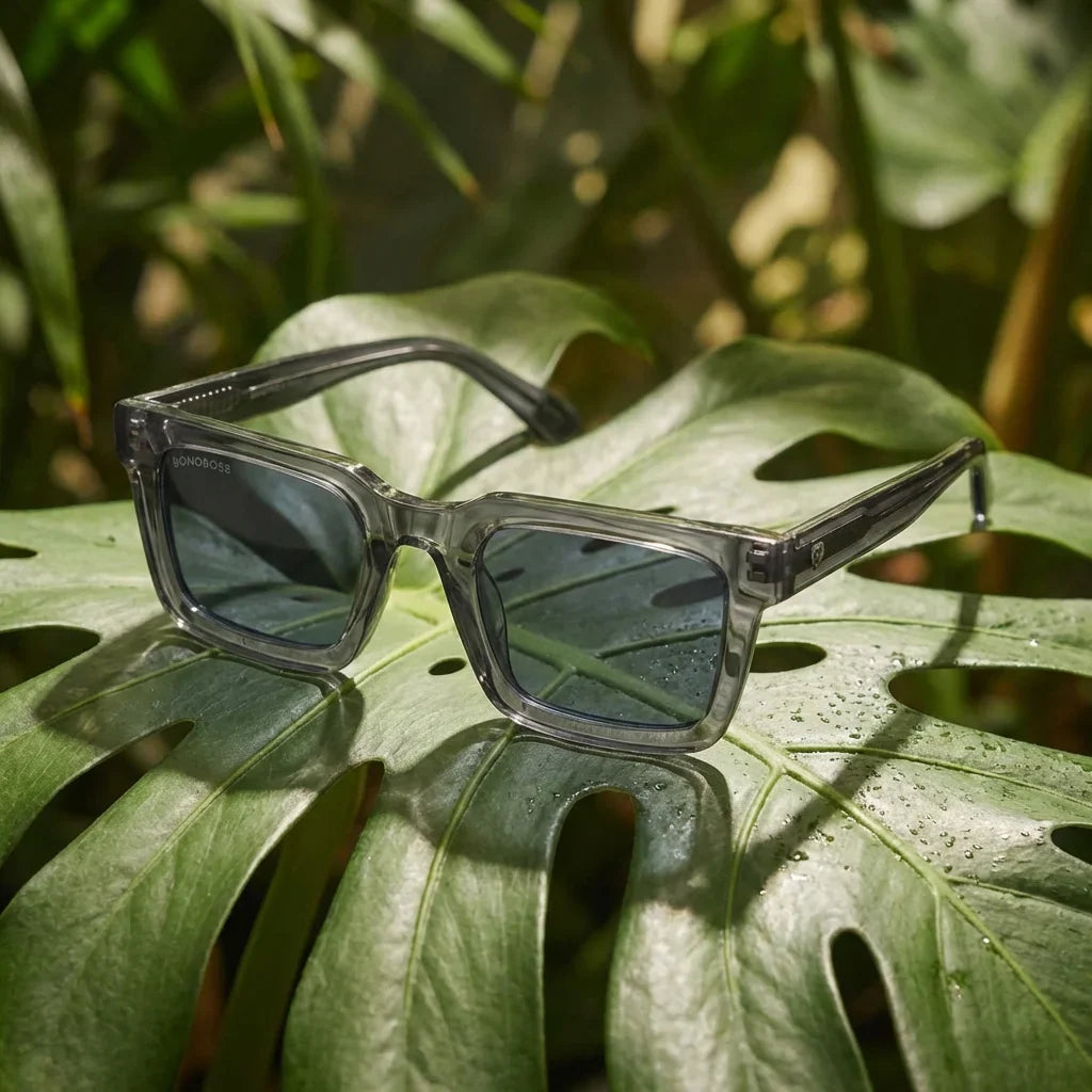 Lentes sol Tokyo polarizados UV400 bio-acetato Transparente Gris composicion botanica monstera tropical natural Bonoboss #editorial_grid2 #color_transparente-gris