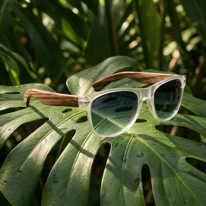 Lentes sol Acacia polarizados UV400 madera zebrano Transparente Gradiente Azul composicion botanica monstera tropical natural Bonoboss #editorial_grid2 #color_transparente-gradiente-azul