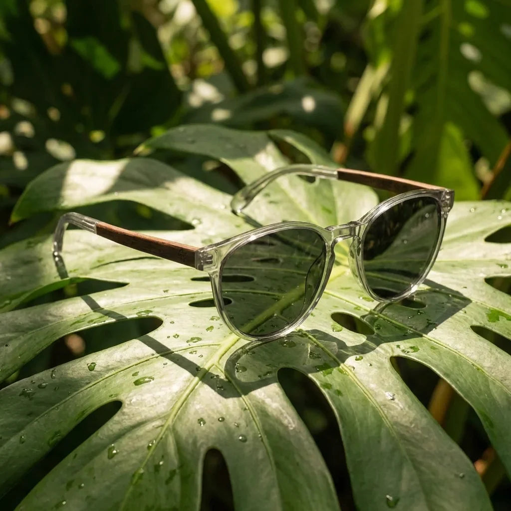 Lentes sol Chiloe 220 Black polarizados transparente composicion botanica hoja monstera tropical Bonoboss #editorial_grid2 #color_transparente