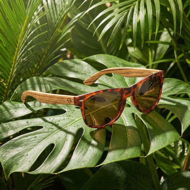 Lentes sol Acacia polarizados UV400 madera zebrano Carey Brown composicion botanica monstera tropical natural Bonoboss #editorial_grid2 #color_carey-brown