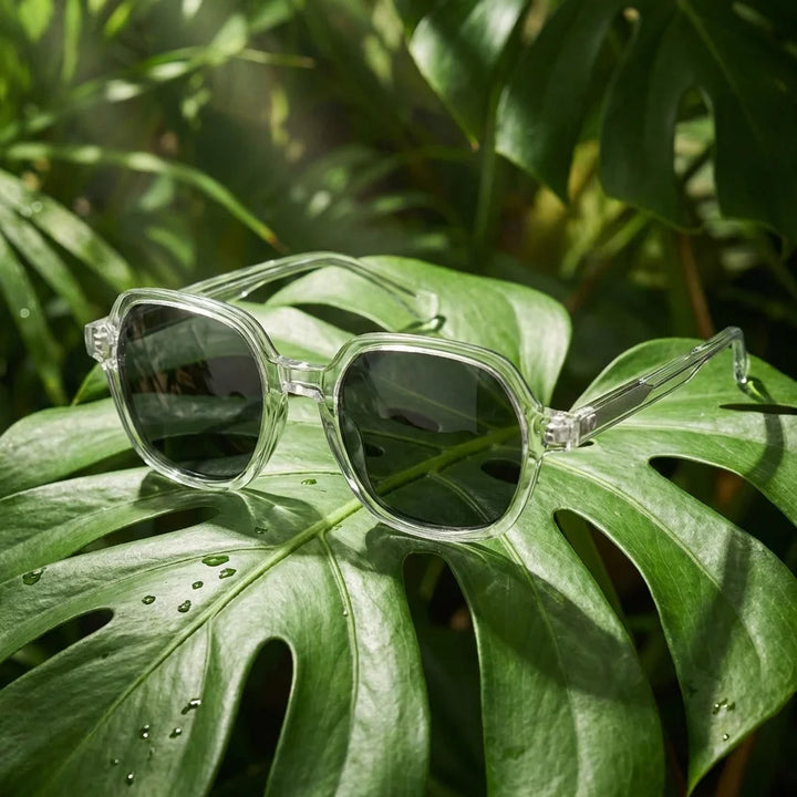 Lentes sol Canarias polarizados UV400 bio-acetato Transparente composicion botanica monstera tropical natural Bonoboss #editorial_grid2 #color_transparente
