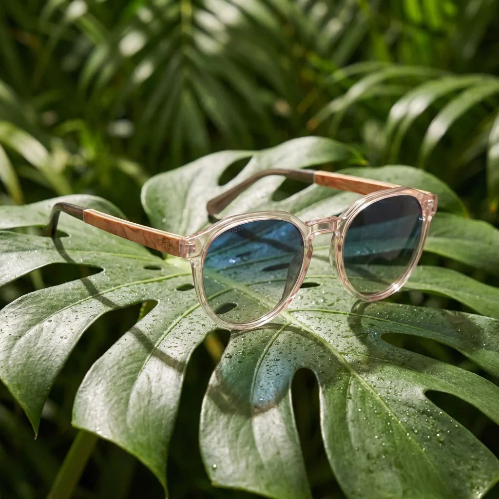 Lentes sol Galapagos polarizados UV400 madera nogal Transparente composicion botanica monstera tropical natural Bonoboss #editorial_grid2 #color_transparente