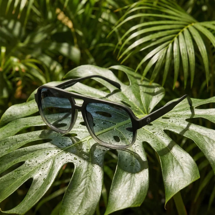 Lentes sol Orson RPET polarizados reciclado negro composicion botanica monstera tropical material sustentable Bonoboss #editorial_grid2 #color_negro