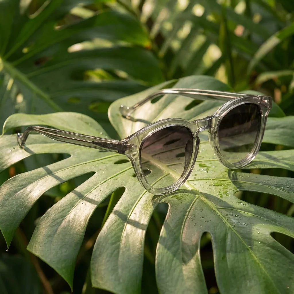 Lentes sol Lenga polarizados UV400 bio-acetato Gris composicion botanica monstera tropical natural Bonoboss #editorial_grid2 #color_gris