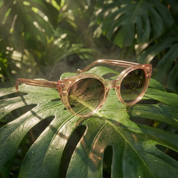 Lentes sol Hannover polarizados bio-acetato champagne composicion botanica monstera tropical biodegradable Bonoboss #editorial_grid2 #color_champagne