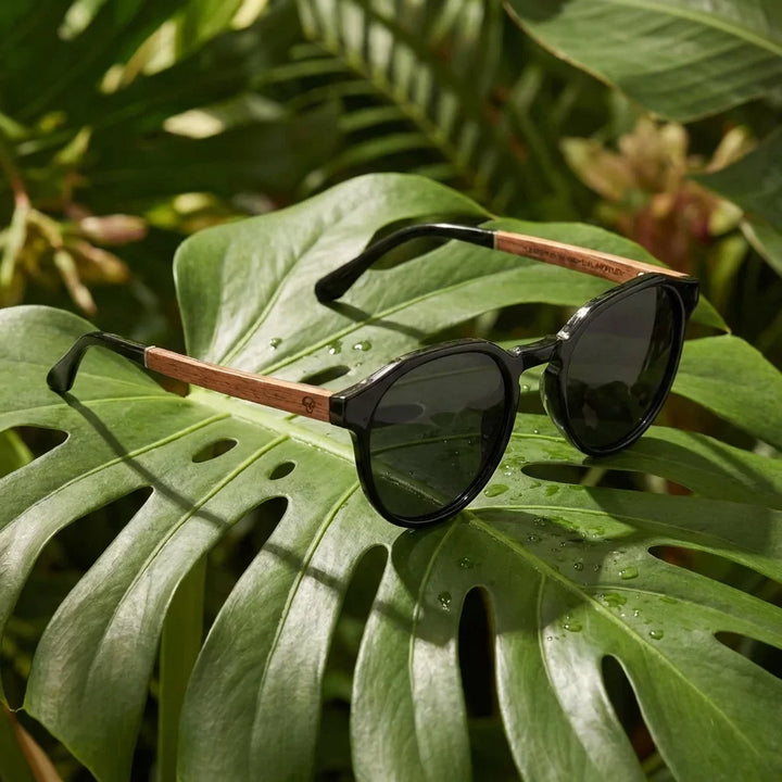 Lentes sol Galapagos polarizados UV400 madera nogal Negro composicion botanica monstera tropical natural Bonoboss #editorial_grid2 #color_negro