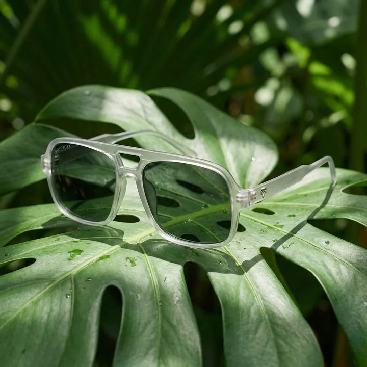 Lentes sol Orson RPET polarizados reciclado transparente composicion botanica monstera tropical sustentable Bonoboss #editorial_grid2 #color_transparente