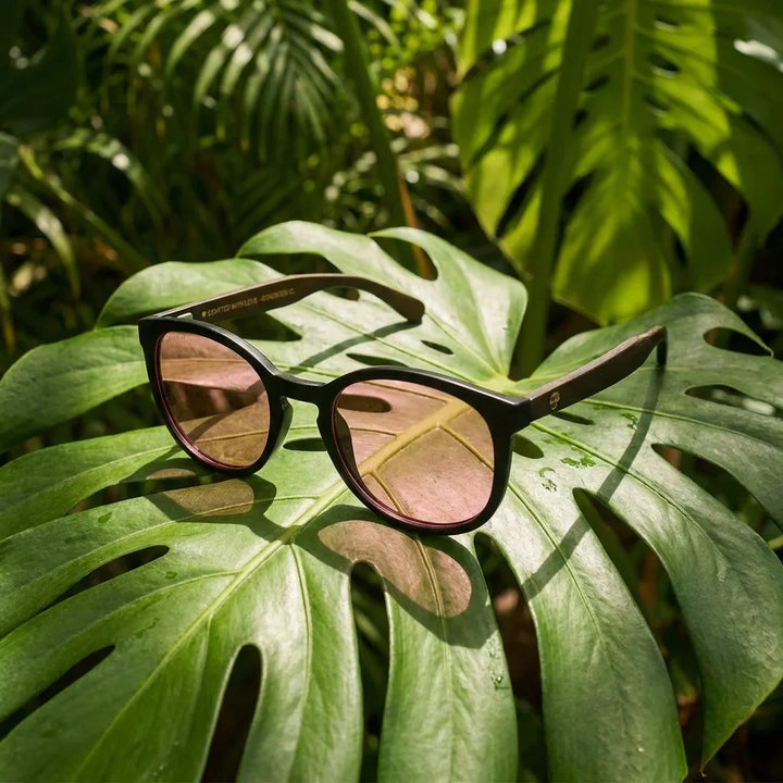 Lentes sol Meli Dark polarizados bio-acetato Rosado composicion botanica monstera tropical Bonoboss #editorial_grid2 #color_rosado