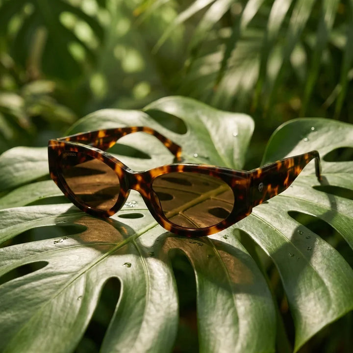Lentes sol Milan polarizados bio-acetato carey composicion botanica monstera tropical biodegradable Bonoboss #editorial_grid2 #color_carey