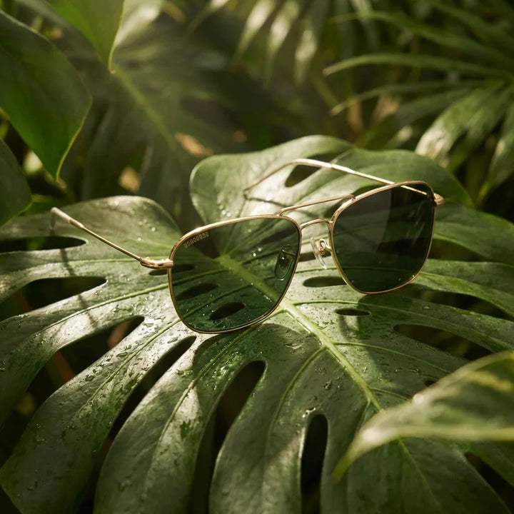 Lentes sol Commander Reverse polarizados metal G15 composicion botanica hoja monstera tropical Bonoboss #editorial_grid2 #color_g15