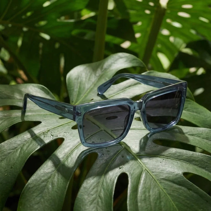 Lentes sol Amsterdam polarizados azul composicion botanica hoja monstera tropical Bonoboss #editorial_grid2 #color_azul