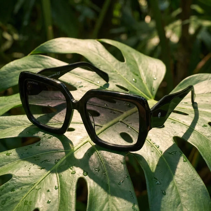 Lentes sol Alaska polarizados negro composicion botanica hoja monstera tropical Bonoboss #editorial_grid2 #color_negro