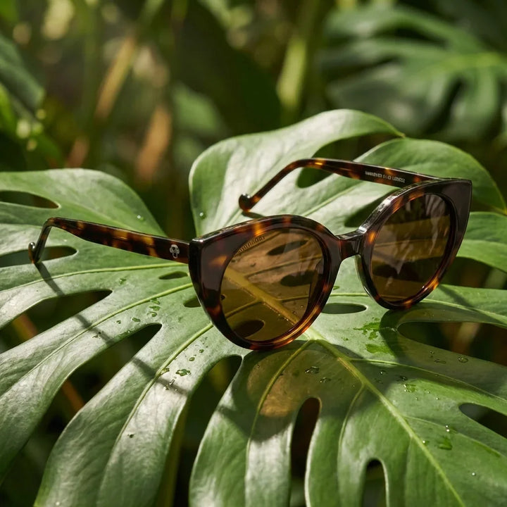 Lentes sol Hannover polarizados bio-acetato carey composicion botanica monstera tropical biodegradable Bonoboss #editorial_grid2 #color_carey