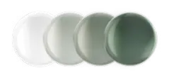 Shamir Autograph IIID Transitions GEN S - Policarbonato anteojos de sol de frente con madera natural