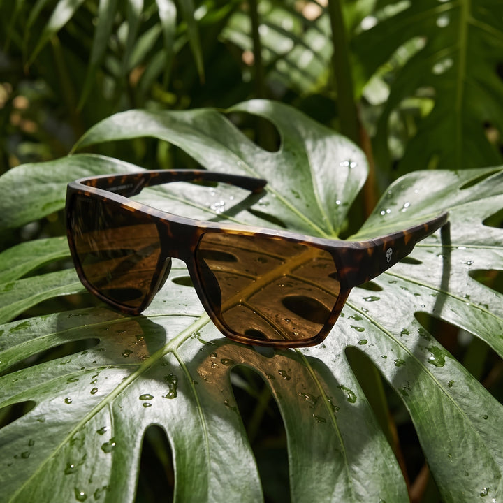Bonoboss Andes Carey lentes de sol deportivos cristal café, detalle sobre hoja tropical #color_carey