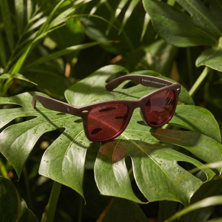 Lentes sol Acacia RPET Café polarizados UV400 composicion botanica hoja monstera tropical Bonoboss #color_rojo